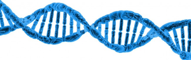 DNA