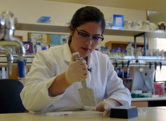 Anezka Hoskin in the lab