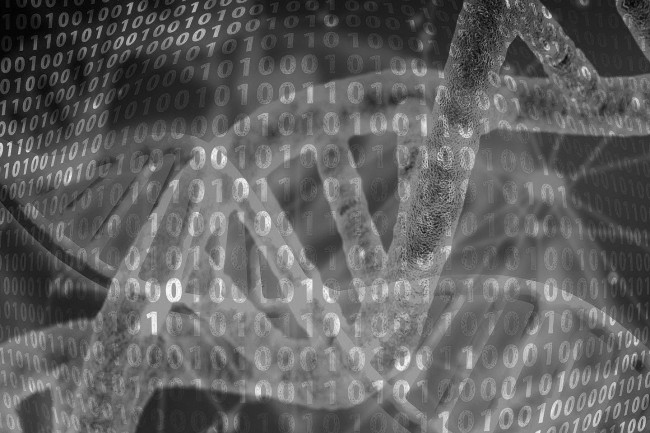 Genomics Aotearoa Is A Collaborative Research Platform For Genomics And